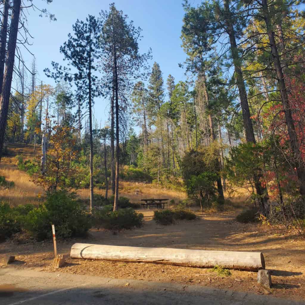 Campsite 91 Lupine Campground Bass Lake