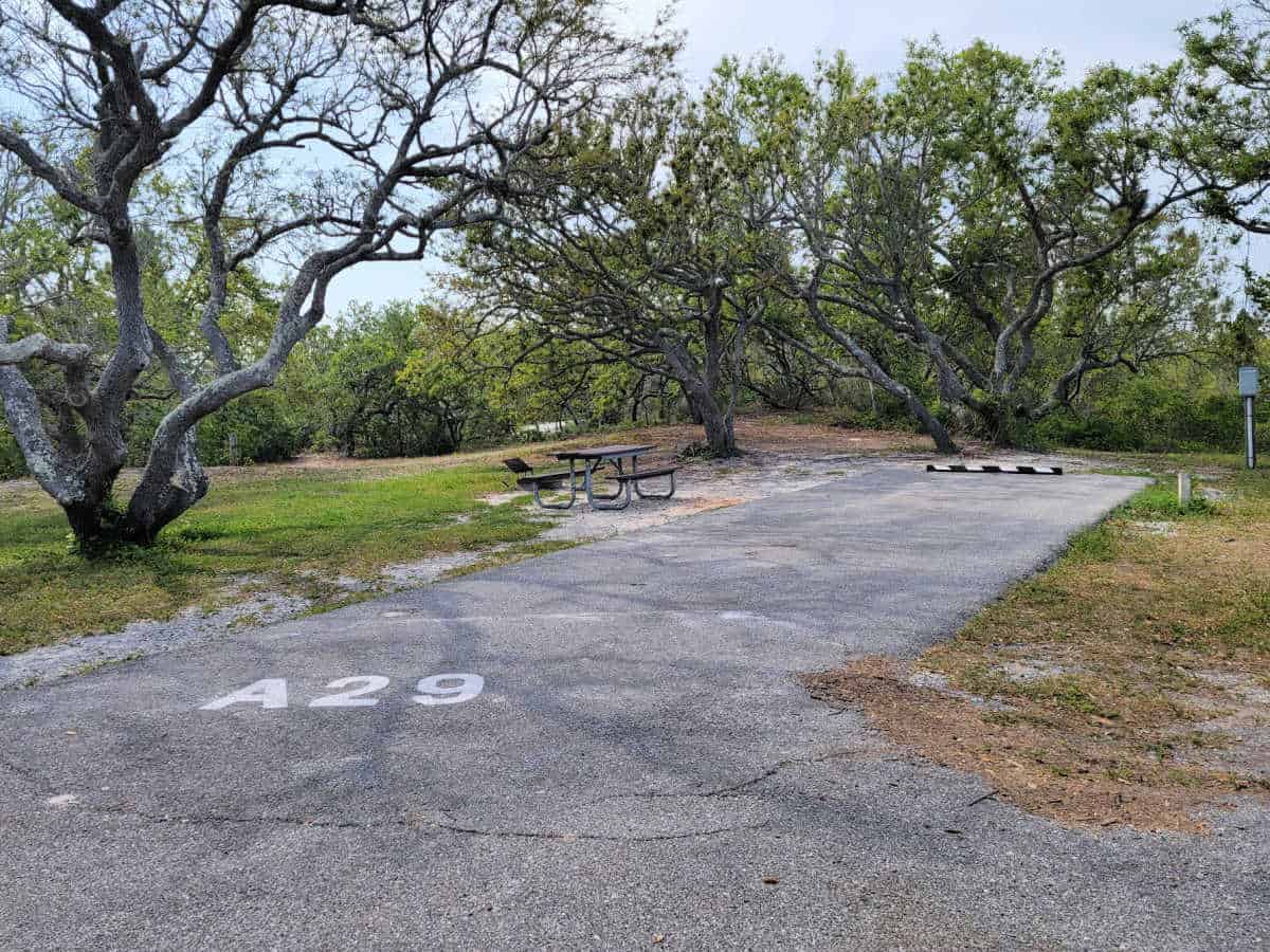 Campsite A29 Fort Pickens Campground Gulf Islands National Seashore Gulf Breeze, Florida