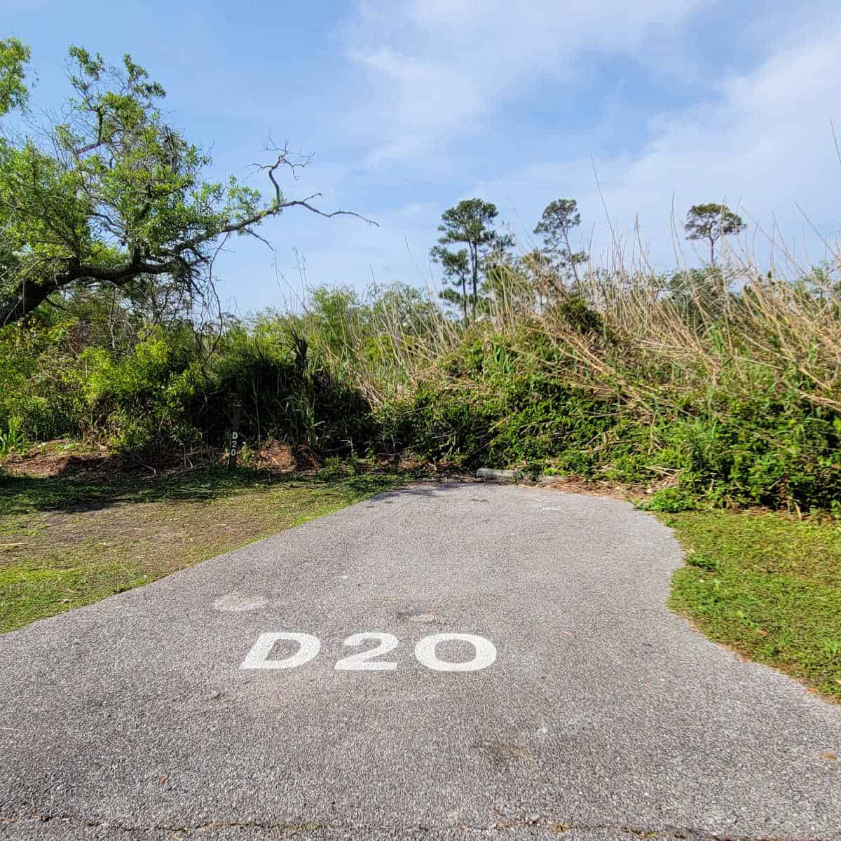 Campsite D20 Fort Pickens Campground Gulf Islands National Seashore Gulf Breeze, Florida