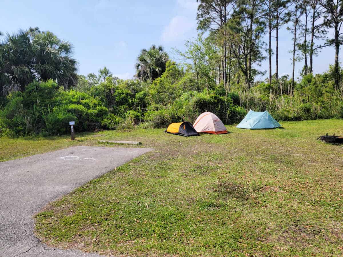 Campsite D5 Fort Pickens Campground Gulf Islands National Seashore Gulf Breeze, Florida