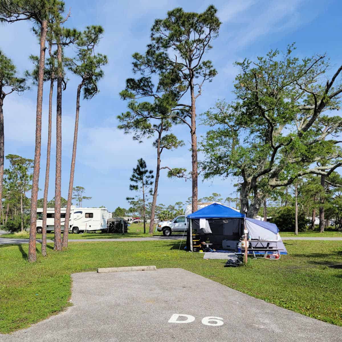 Campsite D6 Fort Pickens Campground Gulf Islands National Seashore Gulf Breeze, Florida