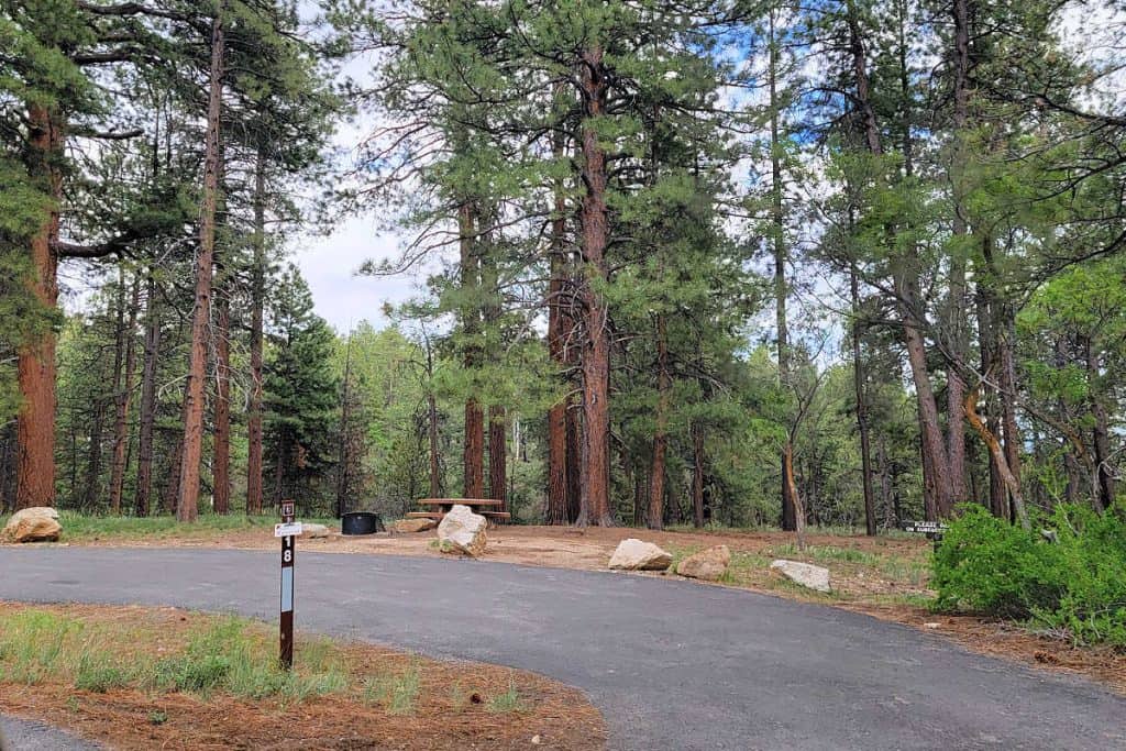 Campsite 18 North Rim Campground