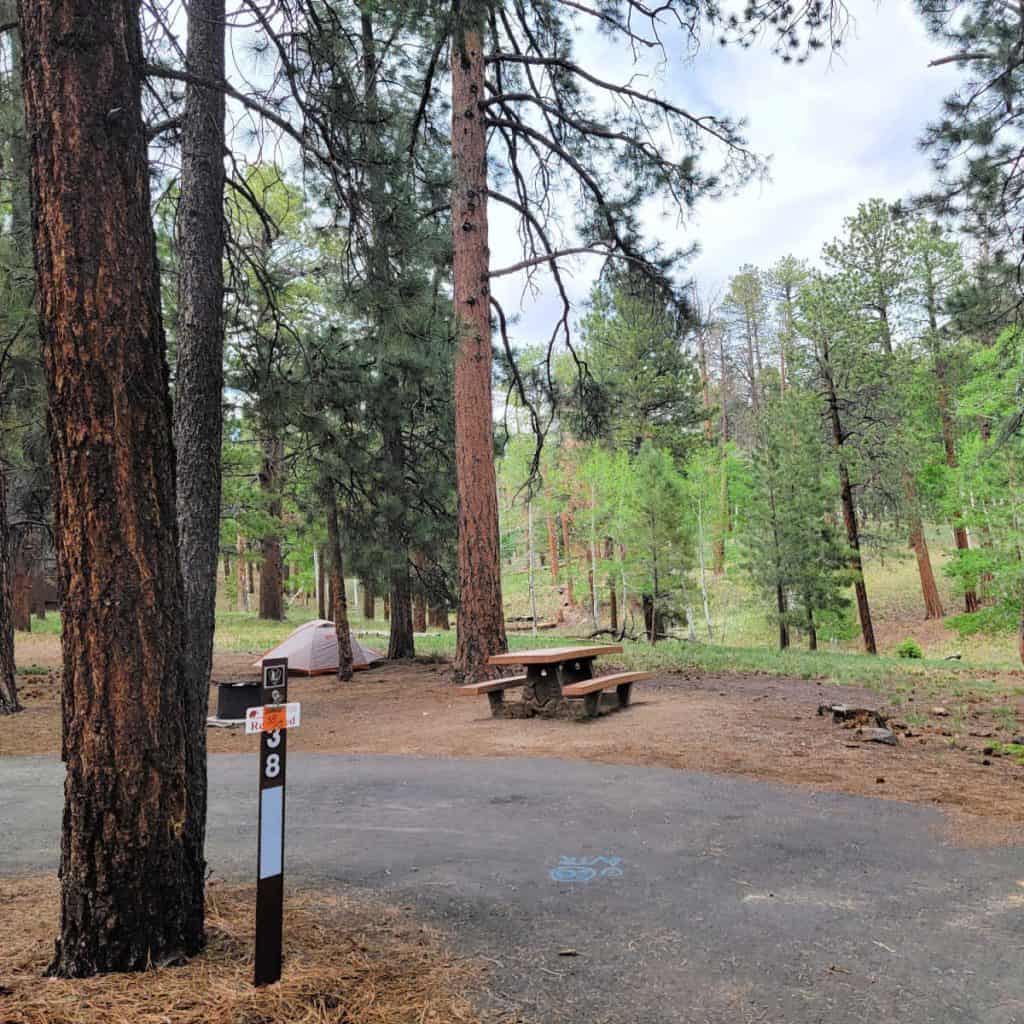 Campsite 38 North Rim Campground