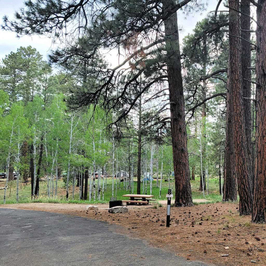 Campsite 5 North Rim Campground