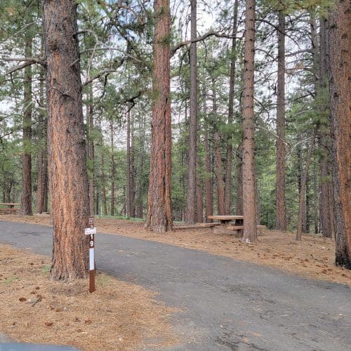 Campsite in North Rim Campground Grand Canyon National Park