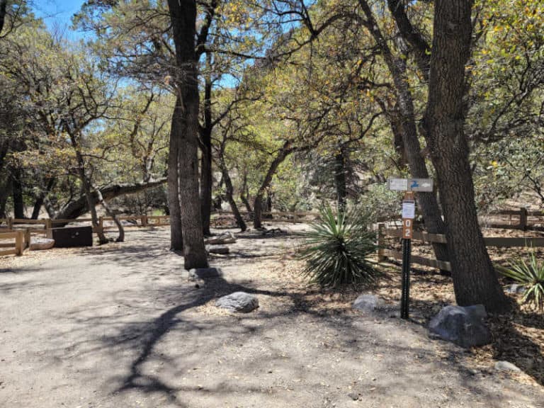 Bonita Canyon Campground Chiricahua National Monument Park Ranger John