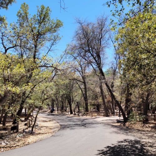 Bonita Campground in Chiricahua