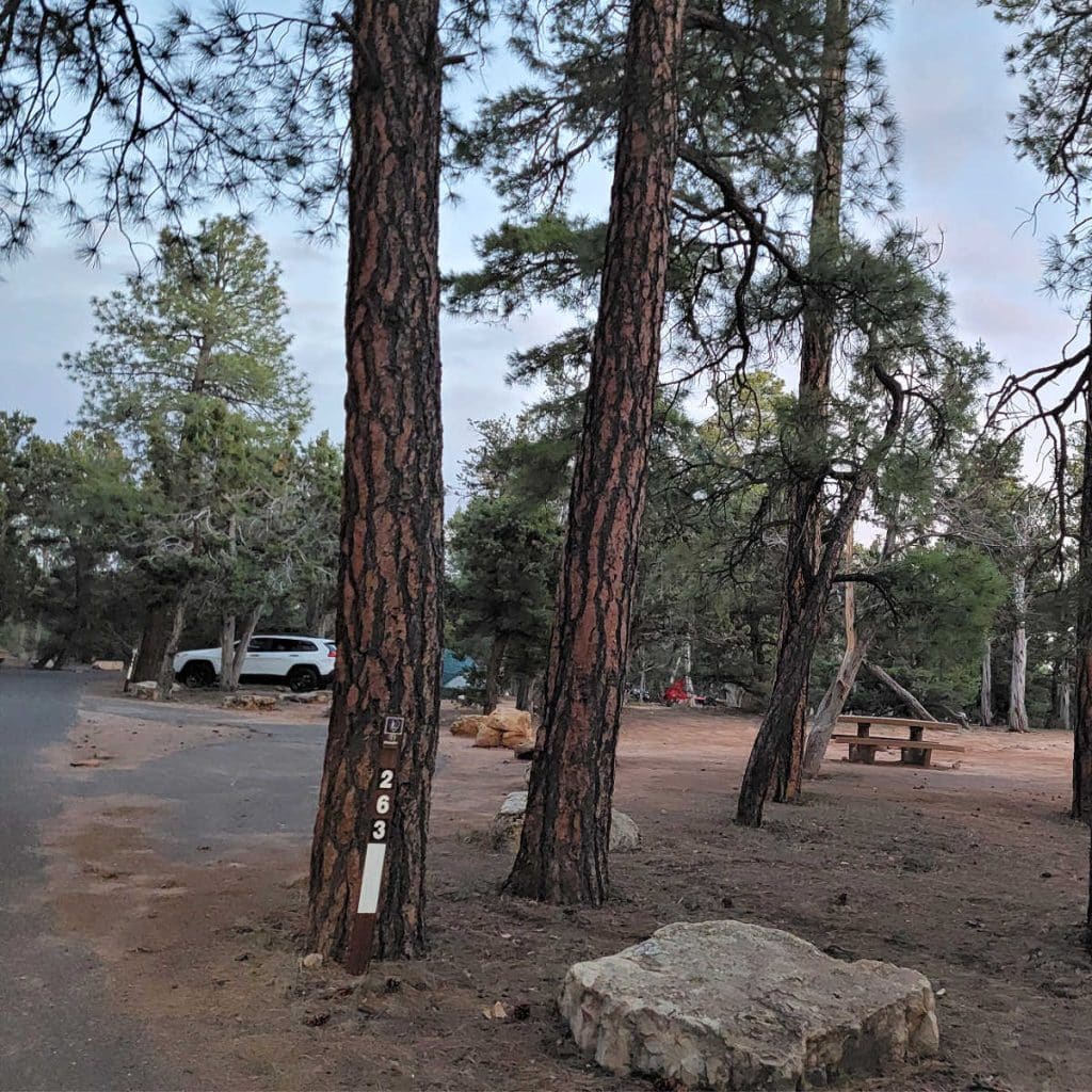 Campsite 263 Mather Campground Grand Canyon National Park