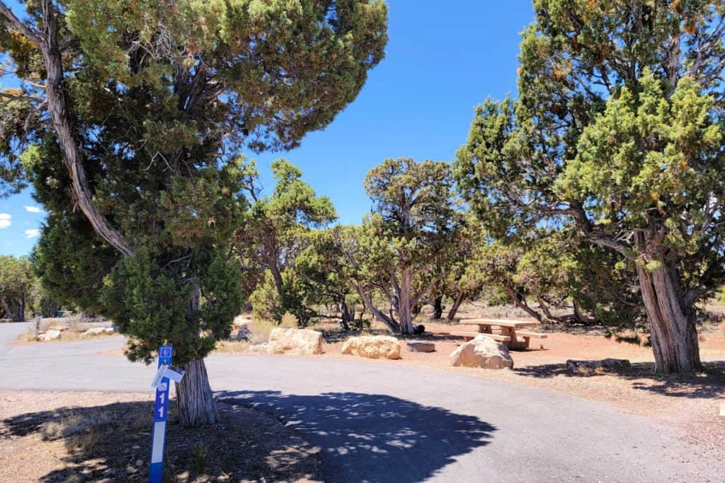 Campsite 11 Desert View Campground Grand Canyon National Park