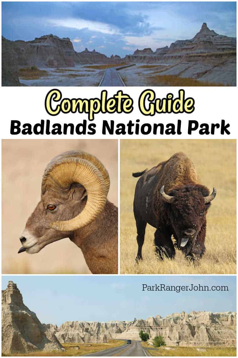 collage of photos from Badlands National Park with text reading "Complete Guide to Badlands National Park by Park Ranger John" Top photo is the Window Trail as you walk through the Badlands. Middle Left photo is a closeup of a Bighorn Sheep. The Middle right photo is a closeup of a Bison and the bottom is the Badlands Loop Road as you drive through the Badlands