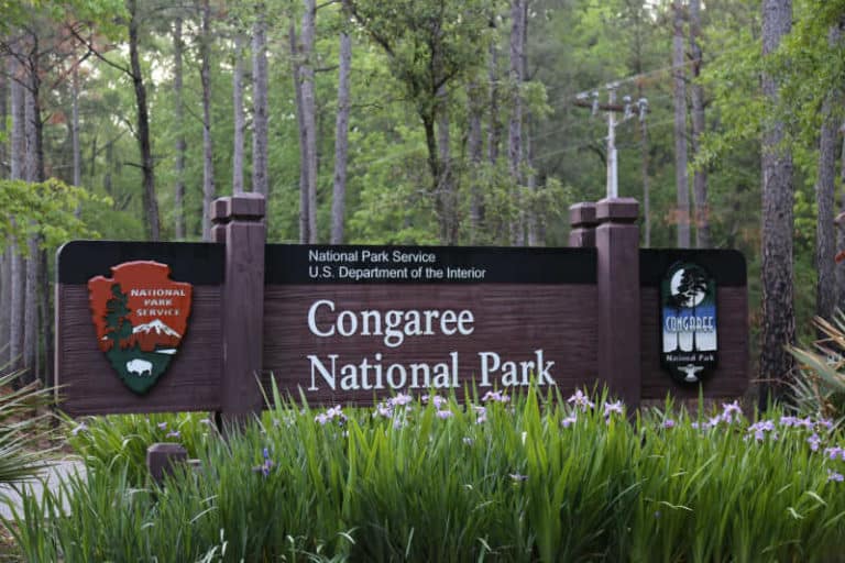 Congaree National Park Epic Guide 2023 Park Ranger John