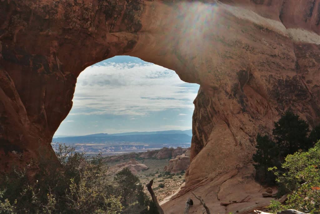 Pine Tree Arch Arches National Park