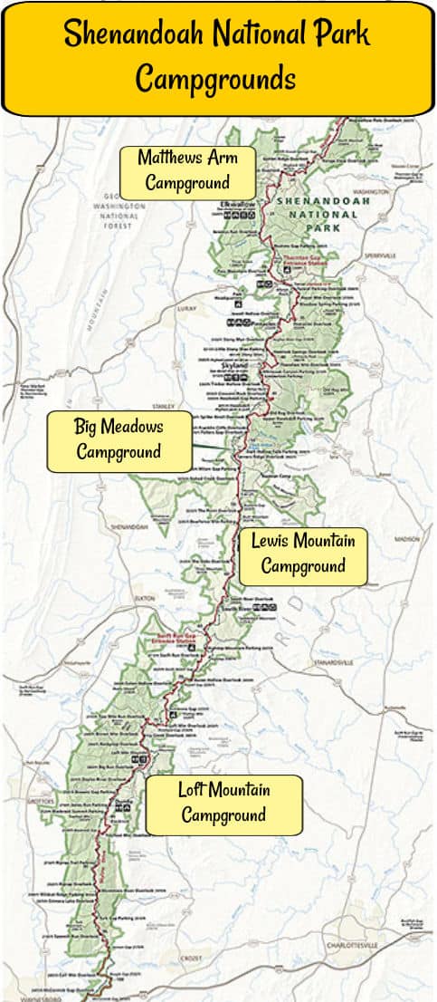 Shenandoah National Park Line Map Insulated Water Bottle - McGovern Outdoor