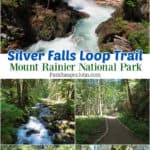Photos of Silver Falls, rock wall along Silver Falls Trail, trail through the forest, photo of a river, and bridge along Silver Falls Trail with text "Silver Falls Loop Trail Mount Rainier National Park by ParkRangerJohn.com"