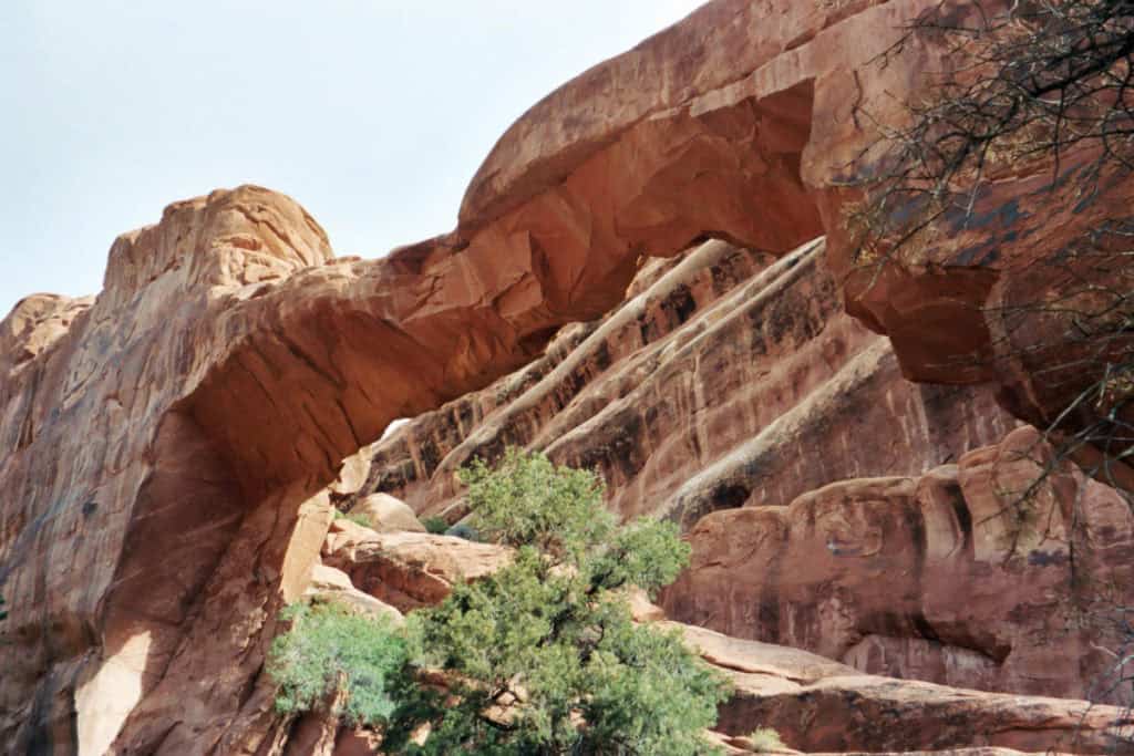 Wall Arch collapsed on August 8 2008