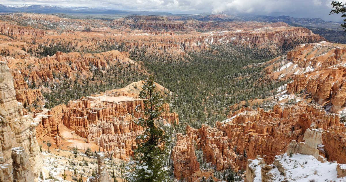 Are Dogs Allowed In Bryce Canyon Park