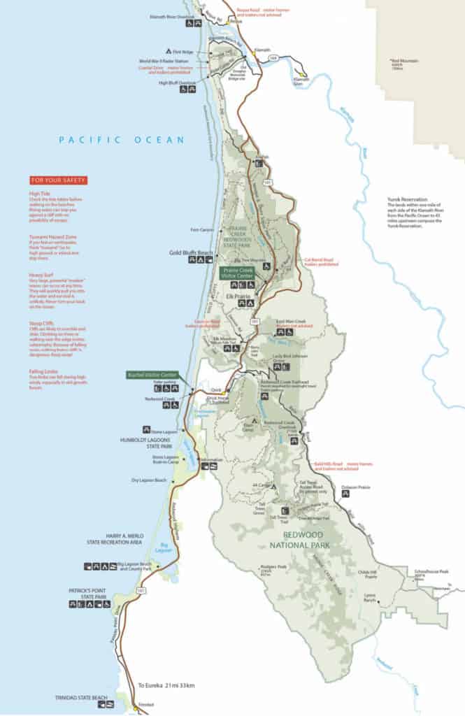 Redwood National Park | Park Ranger John