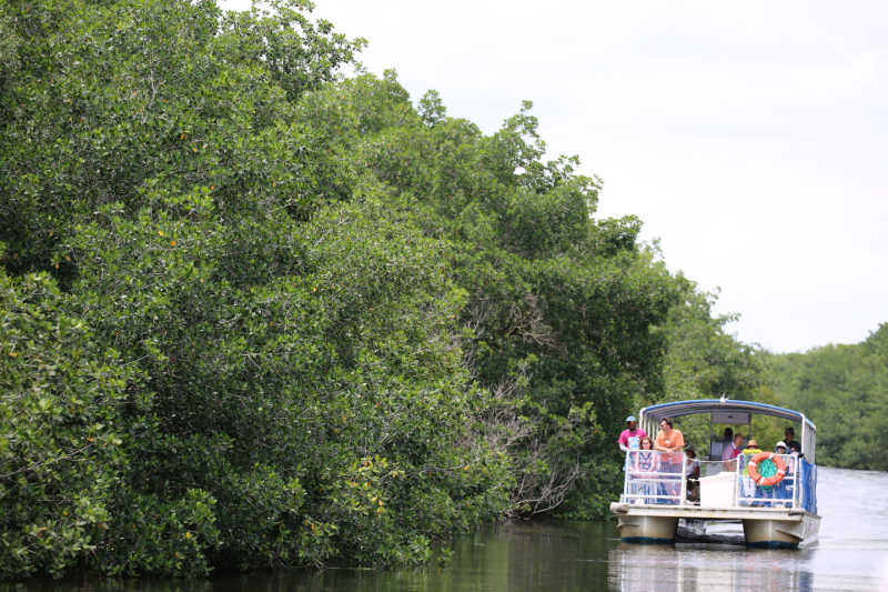 Open boat in Everglades National Park near the mangroves