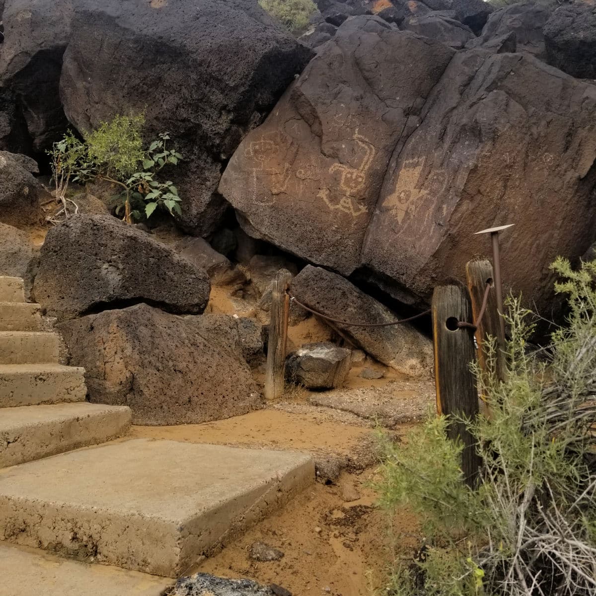 Several petroglyphs along the Cliff Base Trail in Boca Negra Canyon at Petroglyph National Monument