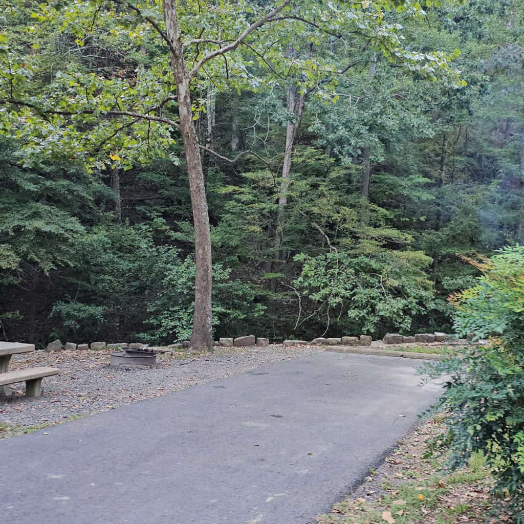 Campsite 36 Gulpha Gorge Campground Hot Springs National Park