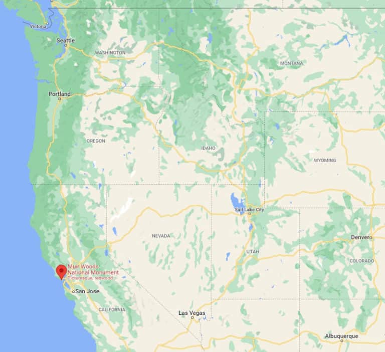 Muir Woods National Monument California Park Ranger John