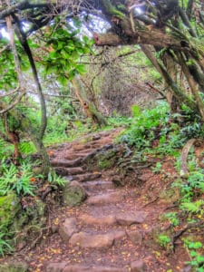 Haleakala National Park | Park Ranger John