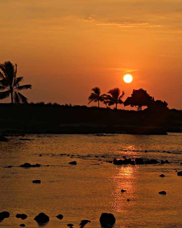 Sunset at the beach with Palm Trees at Kaloko Honohohau National Historical Park Big Island of Hawaii