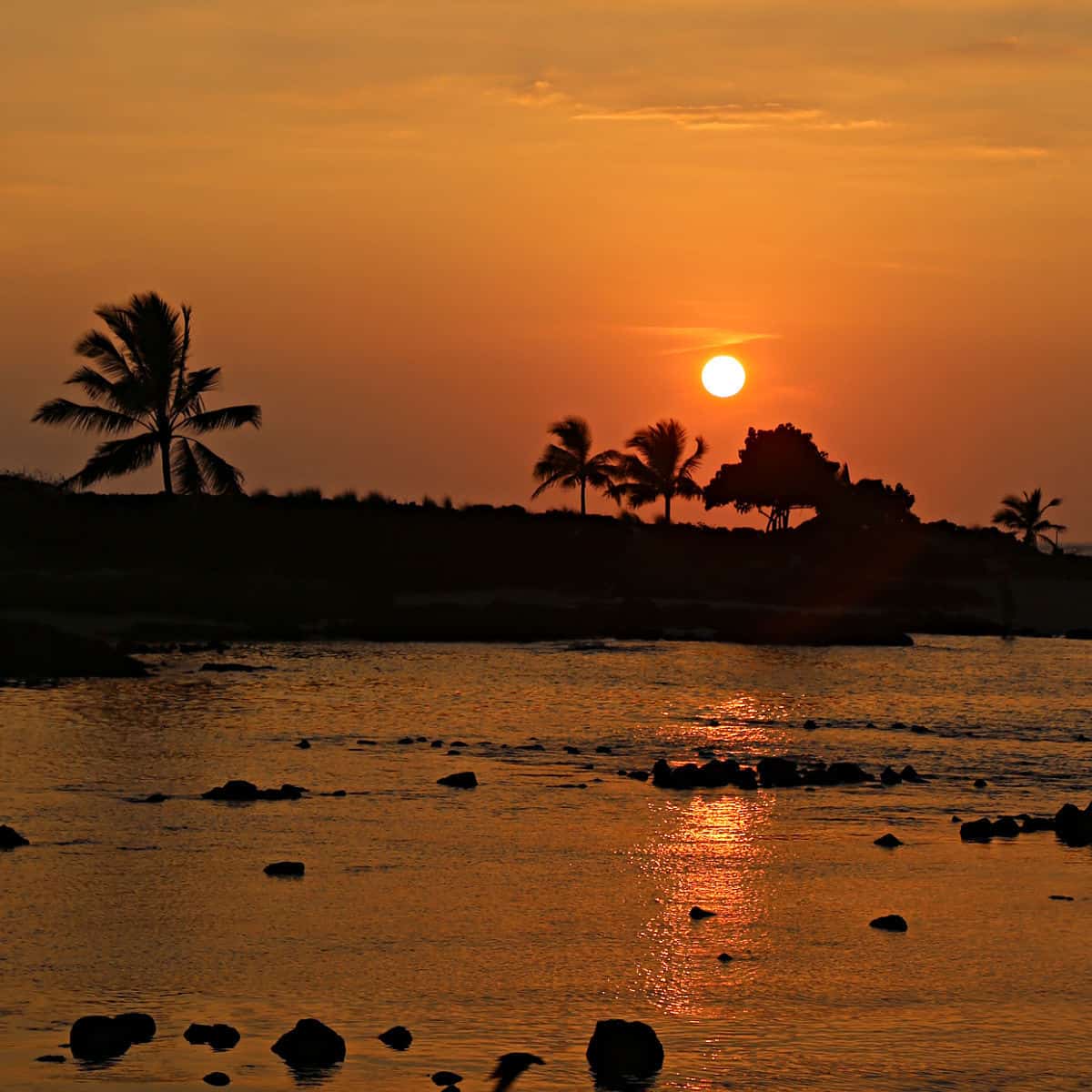 Sunset at the beach with Palm Trees at Kaloko Honohohau National Historical Park Big Island of Hawaii