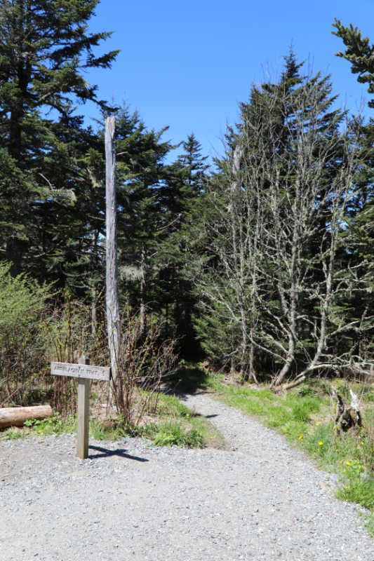 Appalachian trail sign on the way to Clingmans Dome in Great Smoky Mountains NP