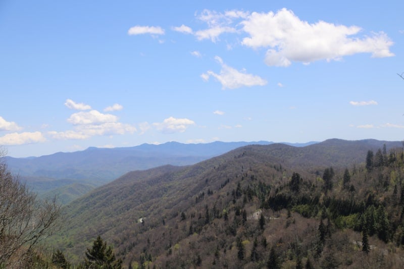 Clingmans Dome road passing through trees in Great Smoky Mountains NP