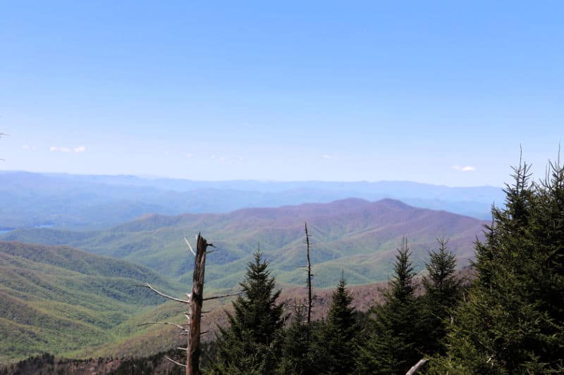 Scenic view from Clingmans Dome of green hills and blue skies in Great Smoky Mountains NP