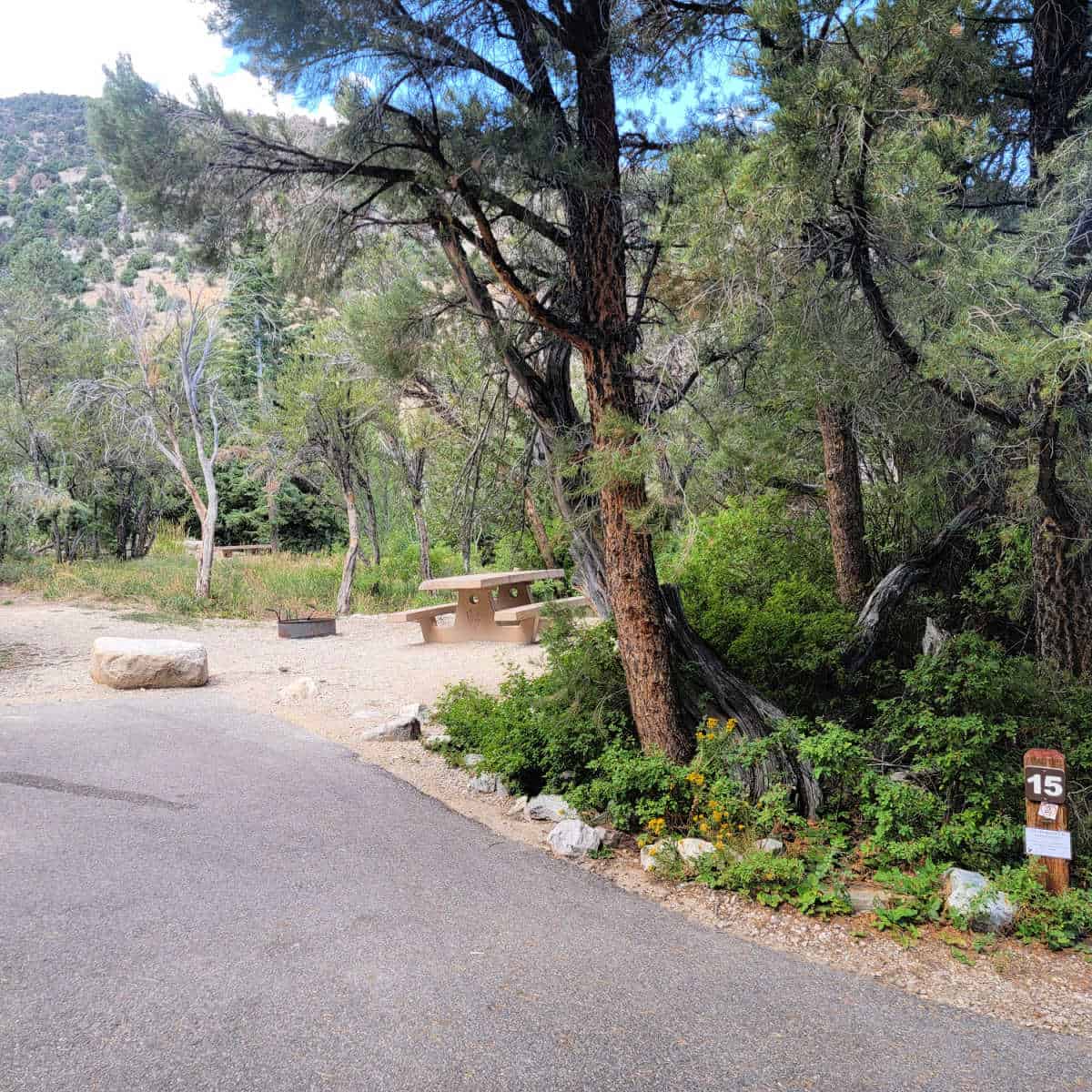Escape to the Stars: Unveiling the Magic of Upper Lehman Creek Campground