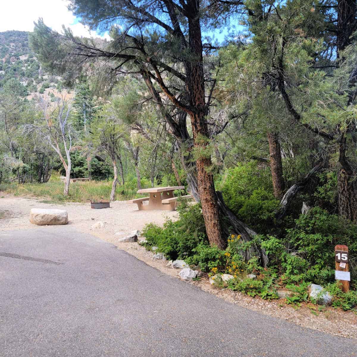 Campsite 15 Upper Lehman Creek Campground Great Basin National Park 