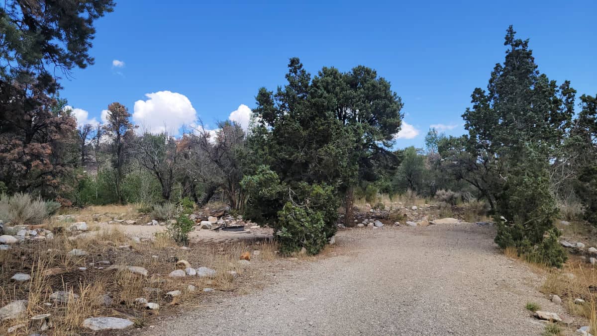 Campsite A3 Grey Cliffs Campground Great Basin National Park