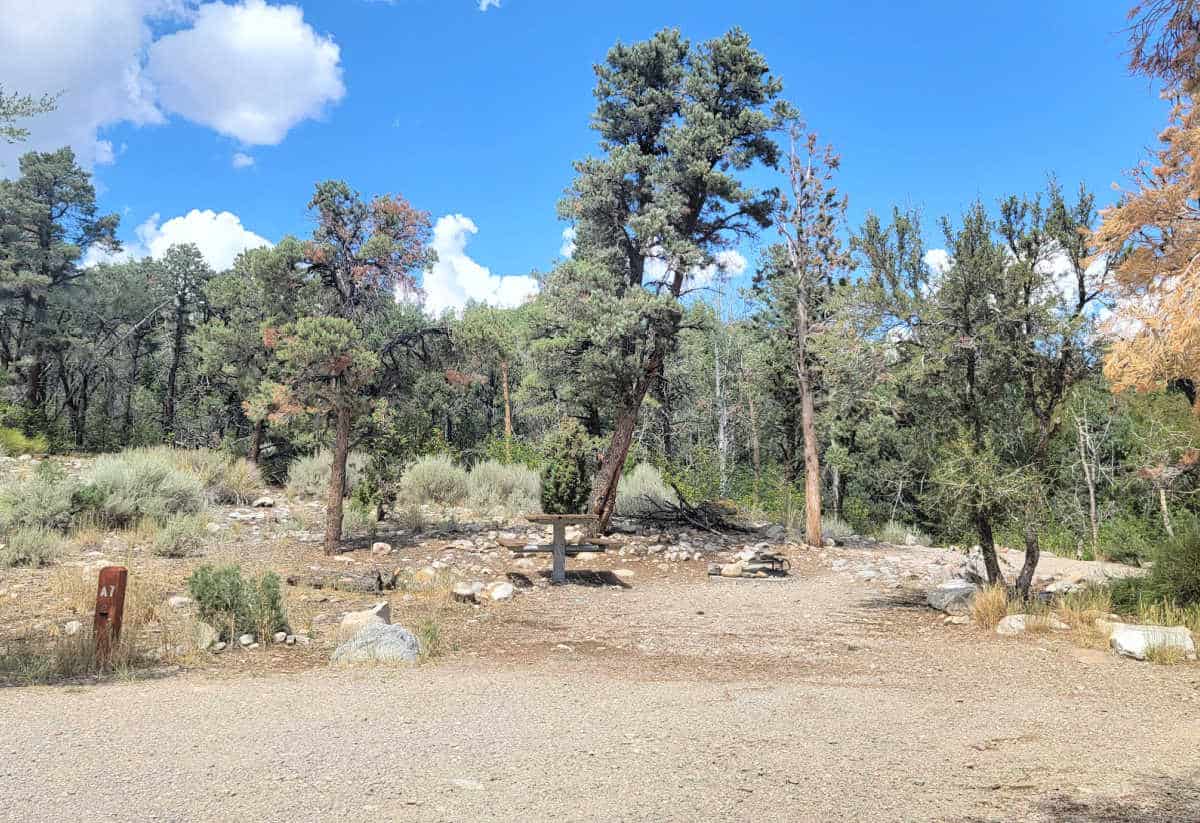 Campsite A7 Grey Cliffs Campground Great Basin National Park