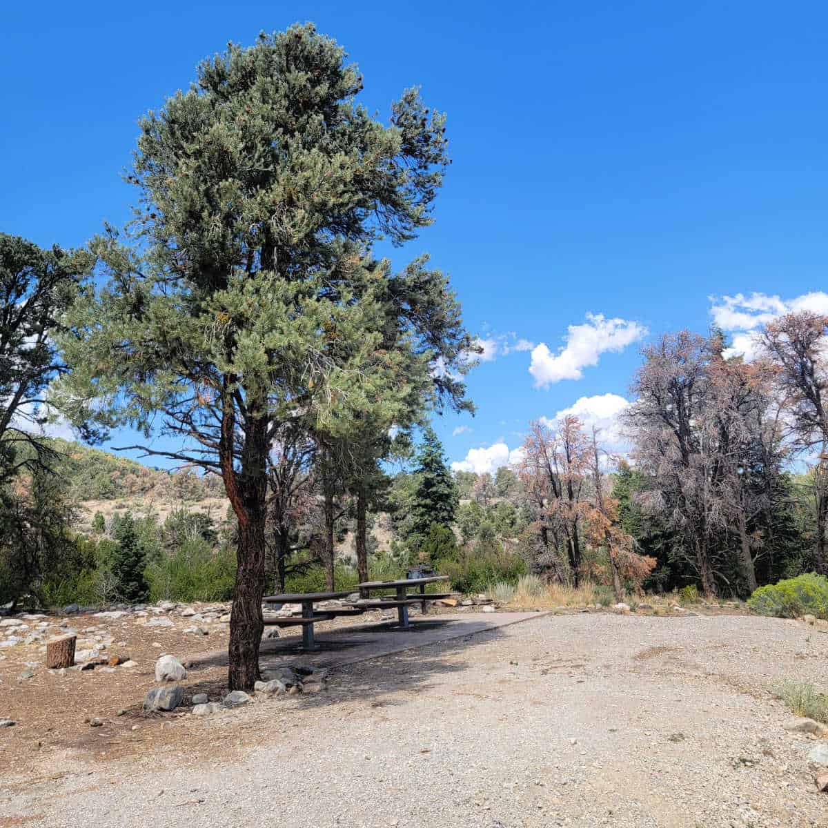 Campsite C2 Grey Cliffs Campground Great Basin National Park