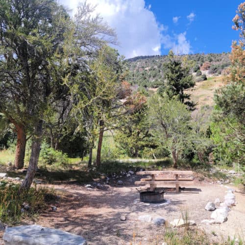 Campsite in Upper Lehman Creek Campground Great Basin National Park