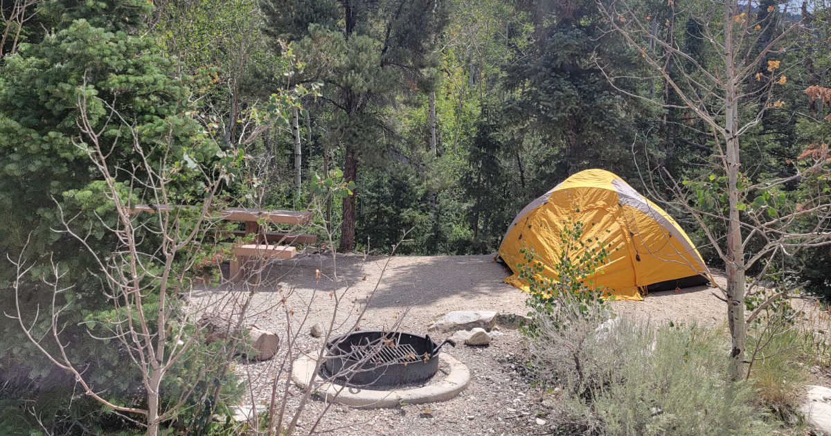 Baker Creek Campground Great Basin National Park Park Ranger John