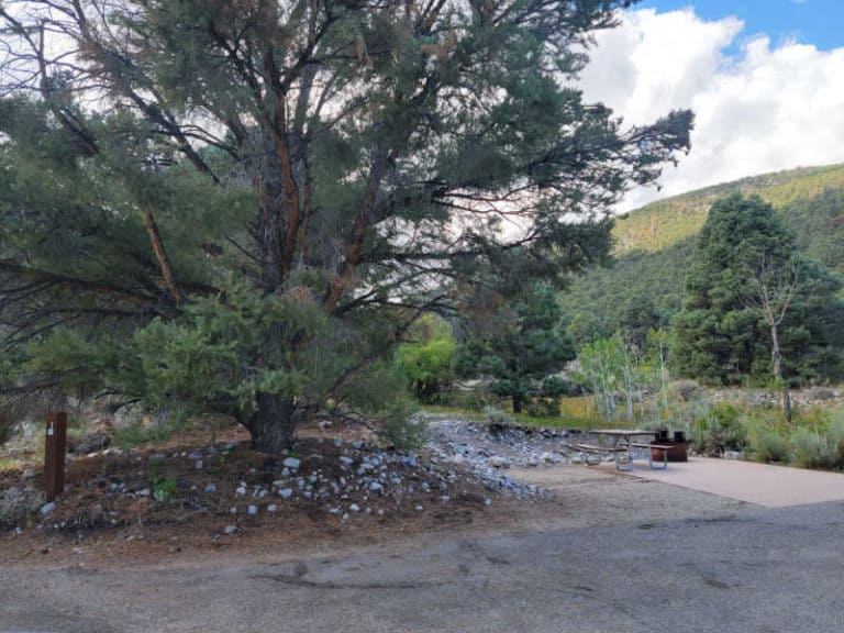 Lower Lehman Creek Campground Great Basin National Park Park Ranger