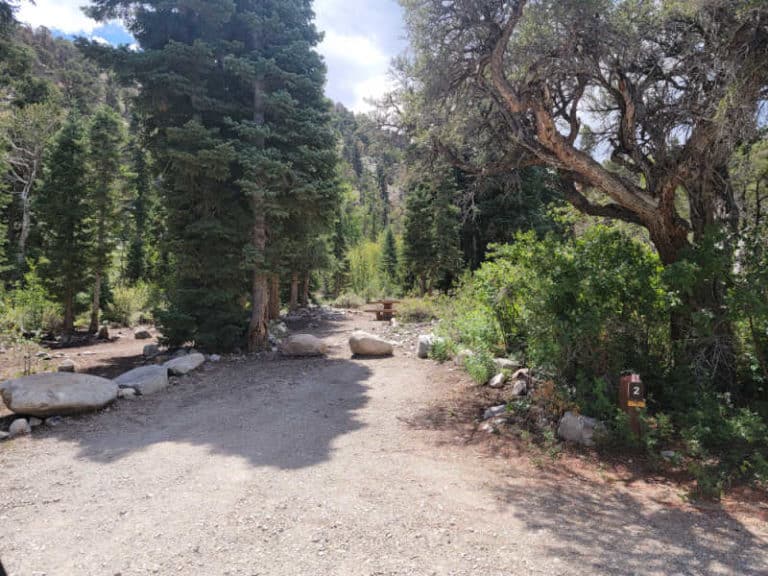 Baker Creek Campground Great Basin National Park Park Ranger John