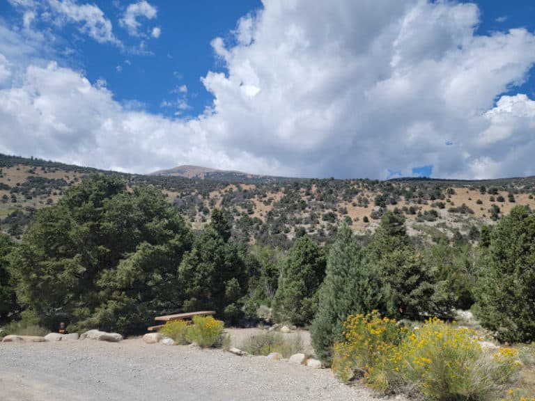 Baker Creek Campground Great Basin National Park Park Ranger John
