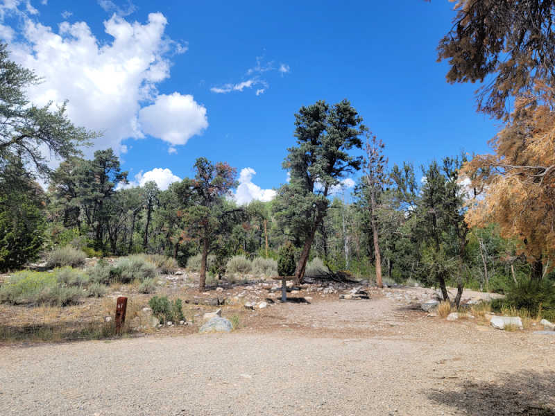 Grey Cliffs Campground Great Basin National Park Park Ranger John