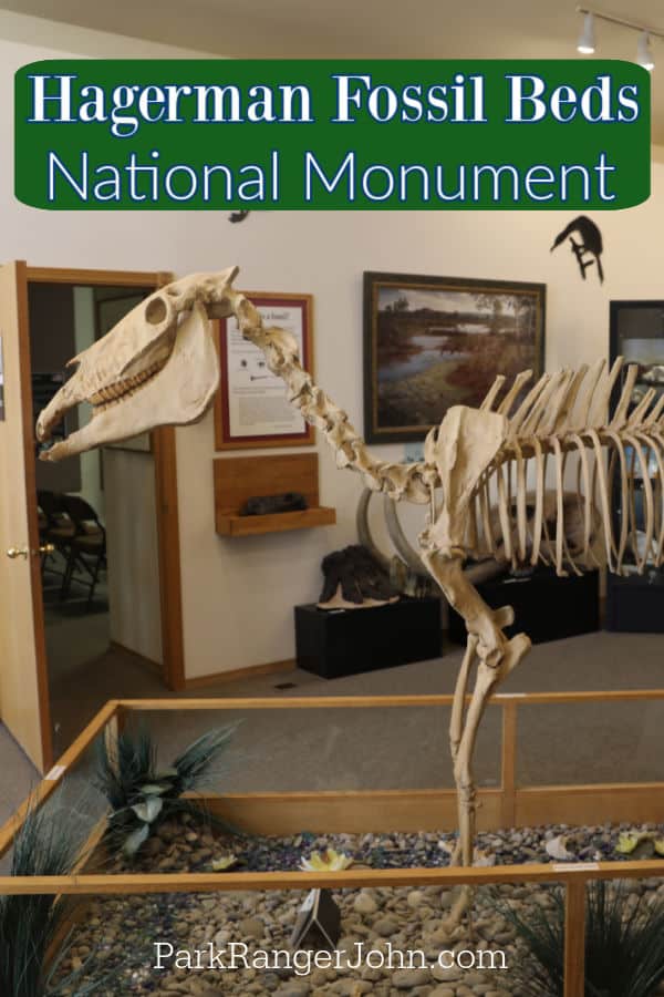 Hagerman Fossil Beds National Monument text written over a ancient horse skeleton in the visitor center