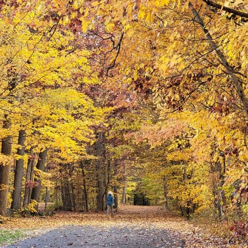 Ledges Trail in Cuyahoga Valley National Park