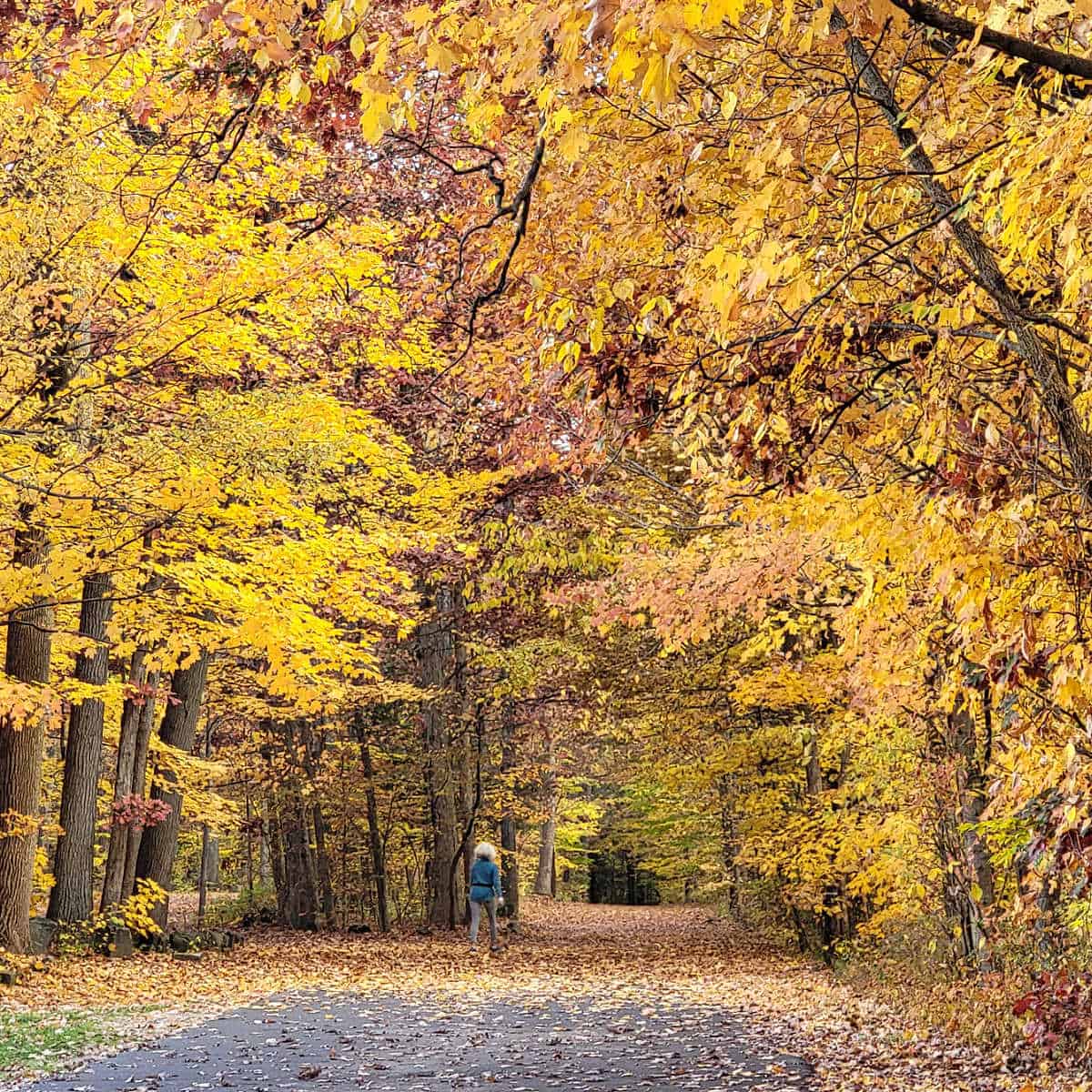 Ledges Trail in Cuyahoga Valley National Park