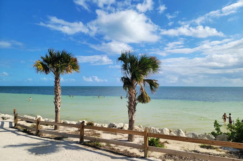 two palm trees along the beach at Bahia Honda State Park in Florida