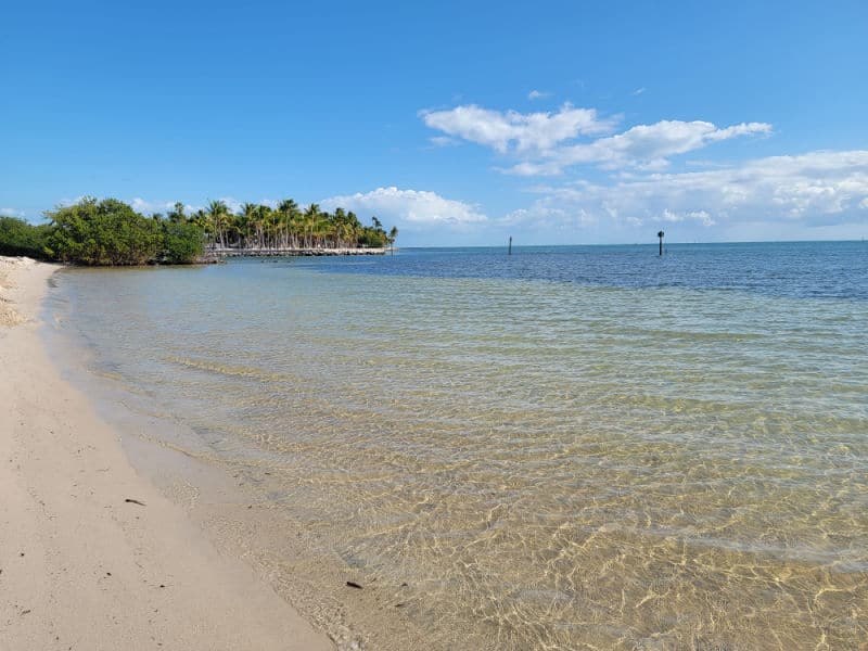 Tropical Beach looking towards palm trees, Curry Hammock State Park, Florida