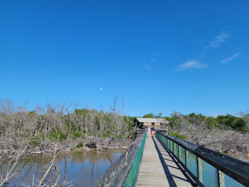 Boardwalk over mangroves heading to a viewing area in Long Key State Park, Florida