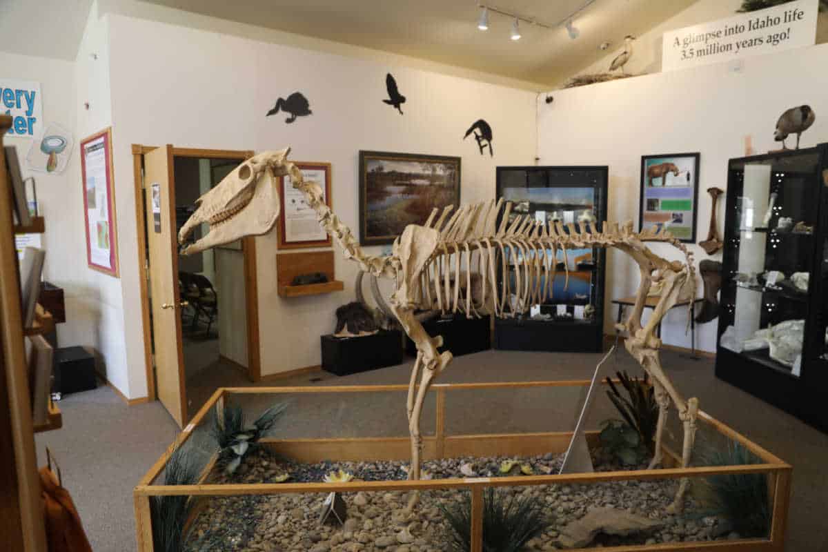 Hagerman Fossil Beds National Monument - Idaho | Park Ranger John