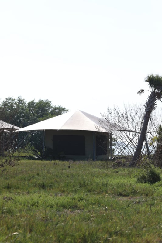 Flamingo Eco Tent in Everglades National Park